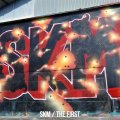 SKM / The first (cd) One family