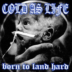 画像1:  COLD AS LIFE / Born to land hard (cd) A389  