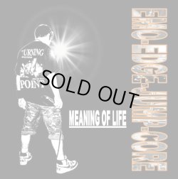 画像1: MEANING OF LIFE / Emo-edge-jump-core (Lp) One step