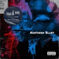YAS I AM / Northern blues (cd) WDsounds