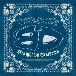 画像1: V.A / Straight up beatdown (cd) Brown 