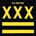  V.A / Flex your head (Lp) Dischord 