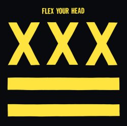 画像1:  V.A / Flex your head (Lp) Dischord 