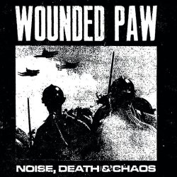 画像1: WOUNDED PAW / Noise, death & chaos (Lp) No time