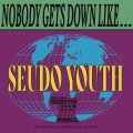   SEUDO YOUTH / Nobody gets down like... (Lp) Going underground  