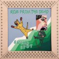  ■予約商品■ RISE FROM THE DEAD / Sugar spot (cd) Affinity sound