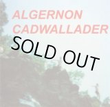 画像: ALGERNON CADWALLADER / Fun (7ep+cd) Be happy/Protagonist