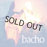 画像: bacho / レコンキスタ (cd) Cosmic note