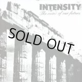 画像: INTENSITY / The Ruins of Our Future (Lp) Deranged 