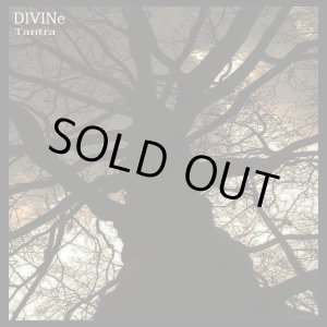 画像: DIVINe　/　Tantra (ｃｄ) Self