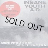 画像: INSANE YOUTH A.D. / Drive into a do or die (cd) 男道