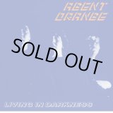 画像: AGENT ORANGE / Living In Darkness (Lp) Drastic Plastic