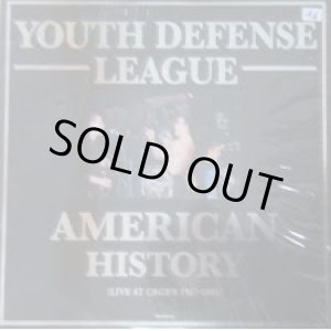 画像: YOUTH DEFENSE LEAGUE / American History (Lp)