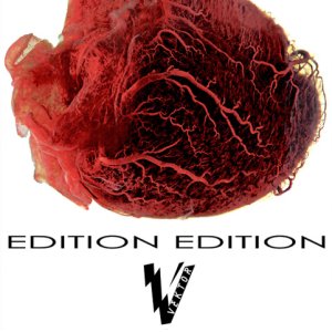 画像: VEKTOR / Edition edition (7ep) MCR company