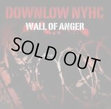 画像: DOWNLOW NYHC / Wall of anger (cd) United riot