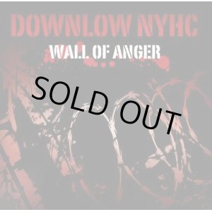 画像: DOWNLOW NYHC / Wall of anger (cd) United riot