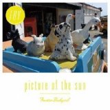 画像: FRONTIER BACKYARD / Picture of the sun (7ep) Niw! 