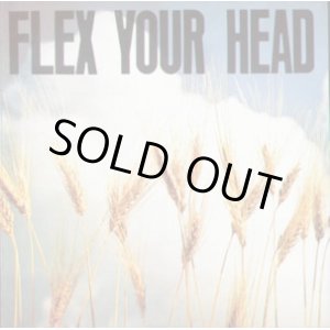 画像:  V.A / Flex your head (cd) Dischord 