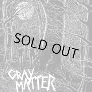 画像: GRAY MATTER / Take it back-Food for thought (cd) Dischord