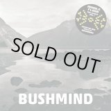 画像: BUSHMIND / 2013 Dtw mix (cdr) Himcast/Dcr