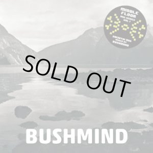 画像: BUSHMIND / 2013 Dtw mix (cdr) Himcast/Dcr