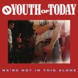 画像2: YOUTH OF TODAY / We're not in this alone (cd)(Lp) Revelation   