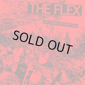 画像: THE FLEX / Flexual healing VI -Live from the paincave- (tape) Painkiller 