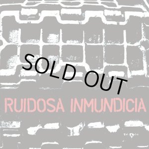 画像: RUIDOSA INMUNDICIA / Discografia 2004-2010 (cd) Fade-in international