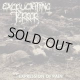 画像: EXCRUCIATING TERROR / Expression of pain (cd) Blastasfuk