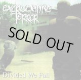 画像: EXCRUCIATING TERROR / Divided we fall (cd) Blastasfuk