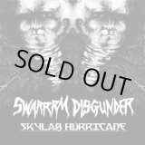 画像: DISGUNDER, SWARRRM / split -Skylab hurricane- (7ep) Break the record 