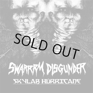 画像: DISGUNDER, SWARRRM / split -Skylab hurricane- (7ep) Break the record 