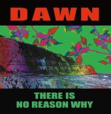 画像: DAWN / There is no reason why (10") Debauch mood