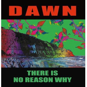 画像: DAWN / There is no reason why (10") Debauch mood