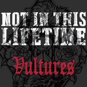 画像: NOT IN THIS LIFETIME / Vultures (cd) Mark my words 