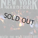 画像: V.A / NEW YORK HARDCORE: Where the wild things are (Lp) Noiseville  