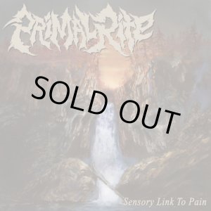 画像: PRIMAL RITE / Sensory link to pain (7ep) Revelation 