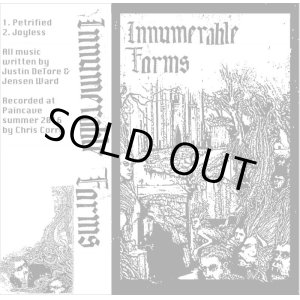 画像: INNUMERABLE FORMS / Promo 2016 (tape) Self  