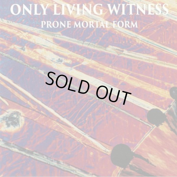 画像1: ONLY LIVING WITNESS / Prone mortal form (Lp) Think fast! 