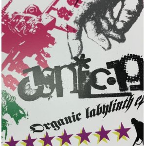 画像: CYNIC-19 / Organic Labylinth (cd) Label carnival light  