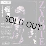 画像: ZYGOTE / 89-91 (cd) Black konflik 