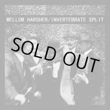 画像: MELLOW HARSHER, INVERTEBRATE / Split (7ep) 625 Thrashcore 