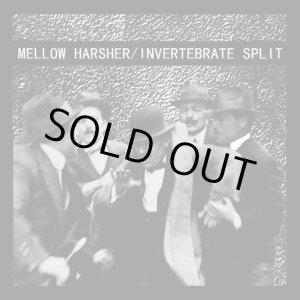 画像: MELLOW HARSHER, INVERTEBRATE / Split (7ep) 625 Thrashcore 