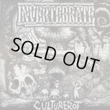 画像:  INVERTEBRATE / Culture rot (7ep) Night animal