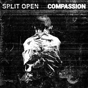 画像:  SPLIT OPEN, COMPASSION / split (Lp) Rsr 