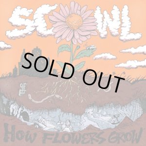 画像: SCOWL / How flowers grow (cd)(Lp) Flatspot