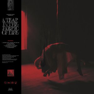 画像: KNOCKED LOOSE / A tear in the fabric of life (cd)(Lp) Pure noise entertsaiment   