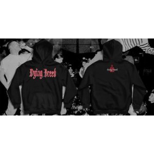 画像: DYING BREED / Logo (hoodie) A389 