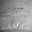 画像2: MONJU / Proof of magnetic field (Lp) P-vine 