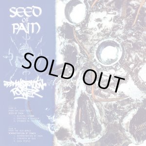 画像: SEED OF PAIN, DEONSTRATION OF POWER / Split (7ep) Streets of hate/From within  